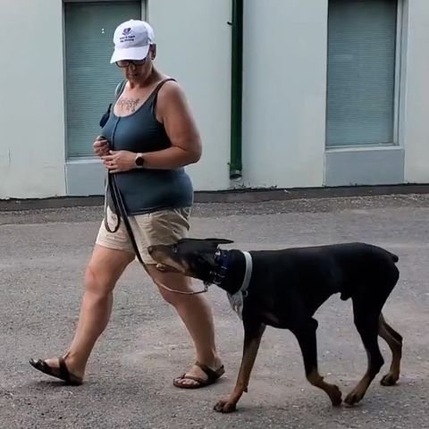 ineke and dante heel